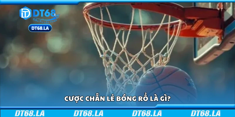 Tổng quan về cược chẵn lẻ bóng rổ